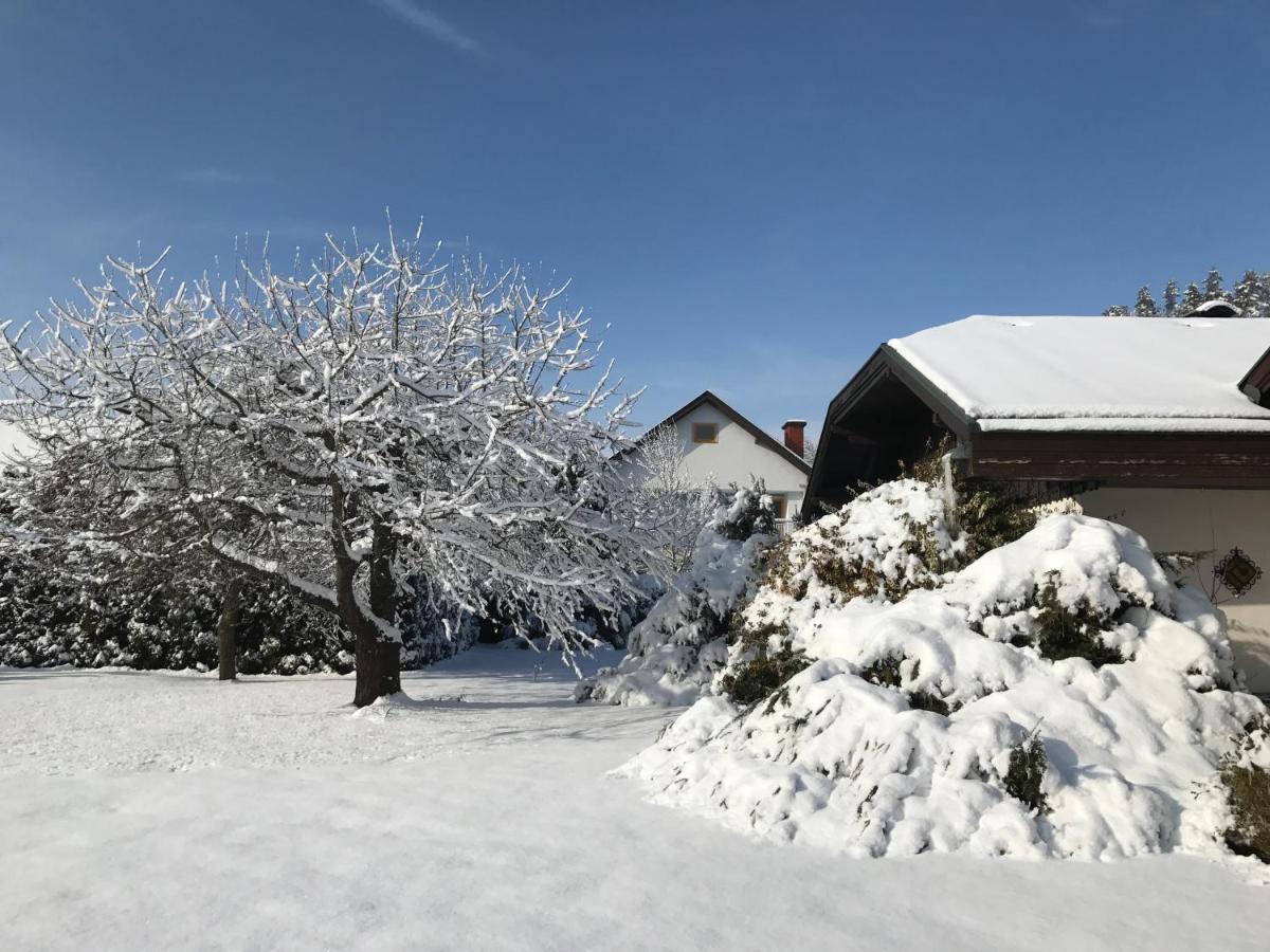 V Gemuetliches Gartenhaus Smihel nad Pliberkom Extérieur photo